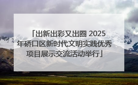 出新出彩又出圈 2025年硚口区新时代文明实践优秀项目展示交流活动举行